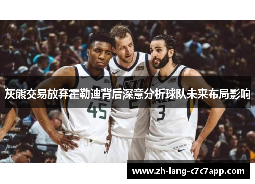 灰熊交易放弃霍勒迪背后深意分析球队未来布局影响 灰熊交易放弃霍勒迪背后深意分析球队未来布局影响