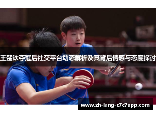 王楚钦夺冠后社交平台动态解析及其背后情感与态度探讨